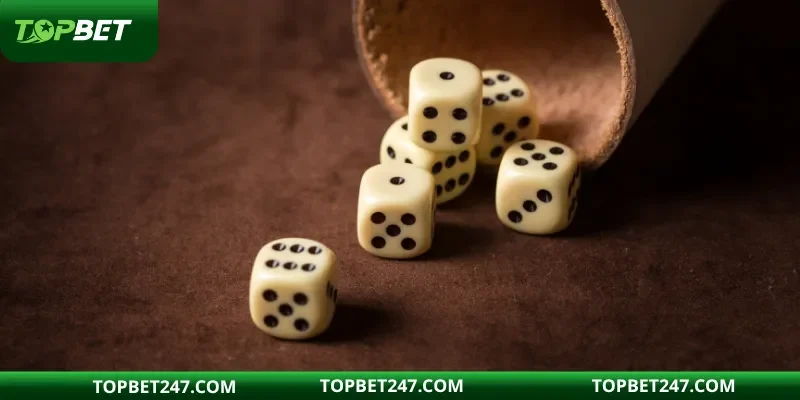 3 bước cá cược xì tốt tại nhà cái