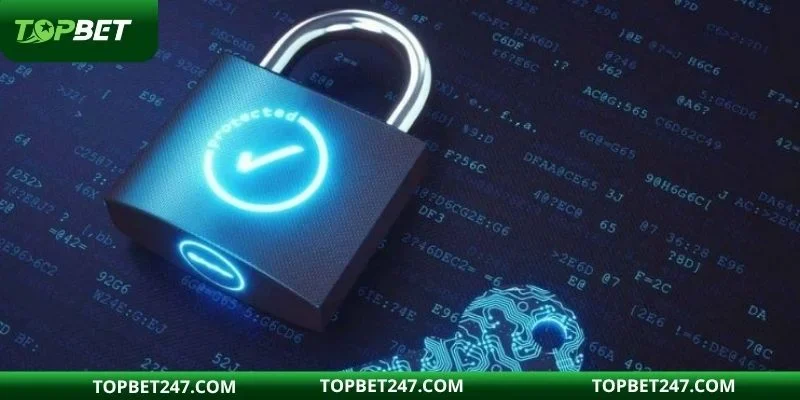 Cam kết từ cổng game đến với người dùng TOPBET