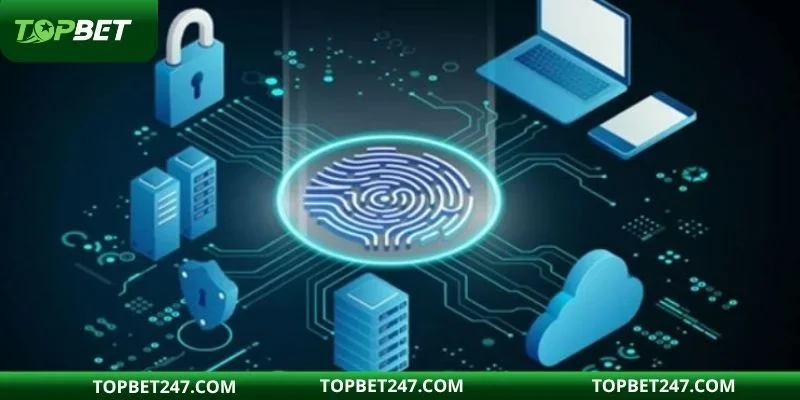 Chi tiết các điều khoản sử dụng tại nhà cái TOPBET