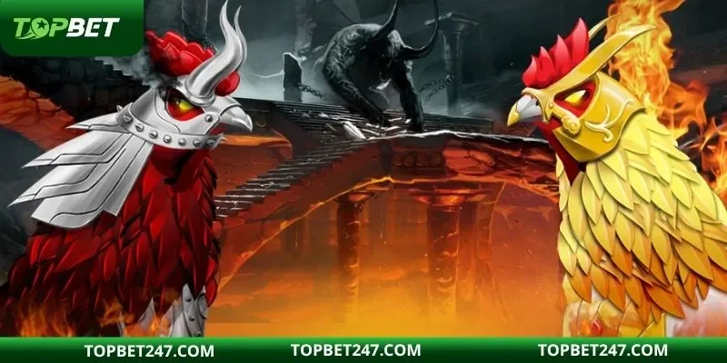 Cockfight Arena được hội viên yêu thích tại nền tảng