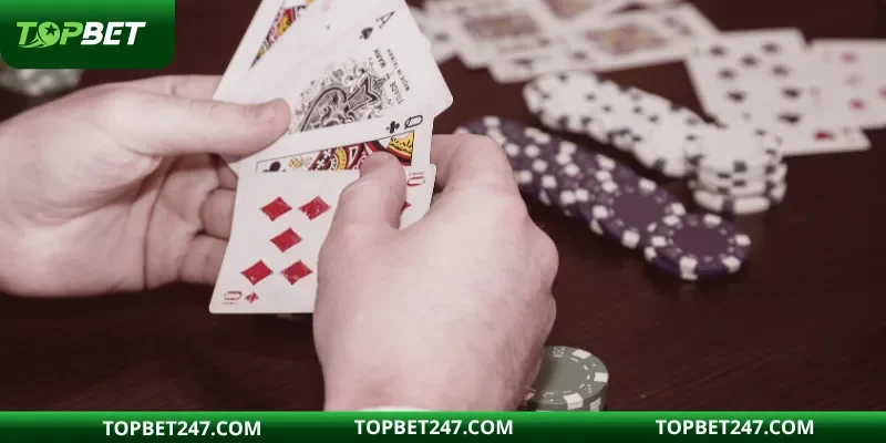 Giới thiệu về cào 3 lá