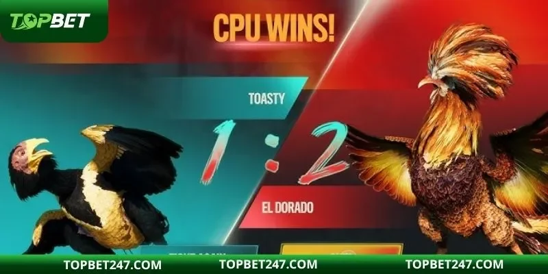 Khám phá cơ chế đặt cược đa dạng cho hội viên