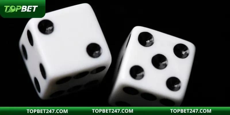 Khi thời gian đặt cược kết thúc kết quả sẽ hiện ra