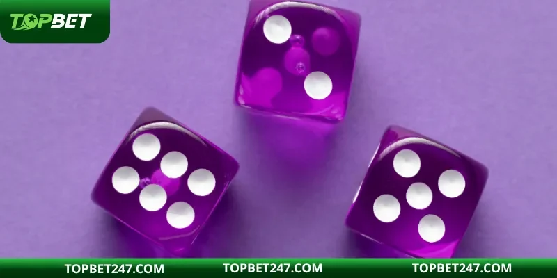 Kiểm soát tâm lý đặt cược