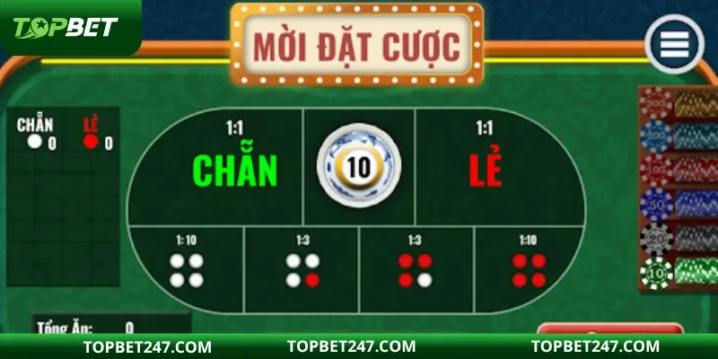 Kiểm tra lịch sử và phân tích kết quả