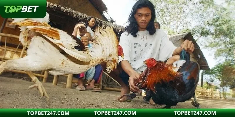 Ưu điểm tuyệt vời thu hút hội viên tham gia